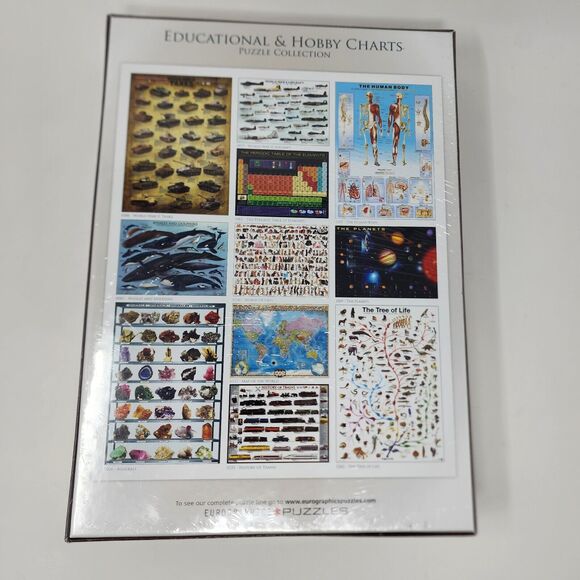 The Skeletal System Jigsaw Puzzle Eurographics 1000 Piece EG 60003970 Sealed - Picture 4 of 7